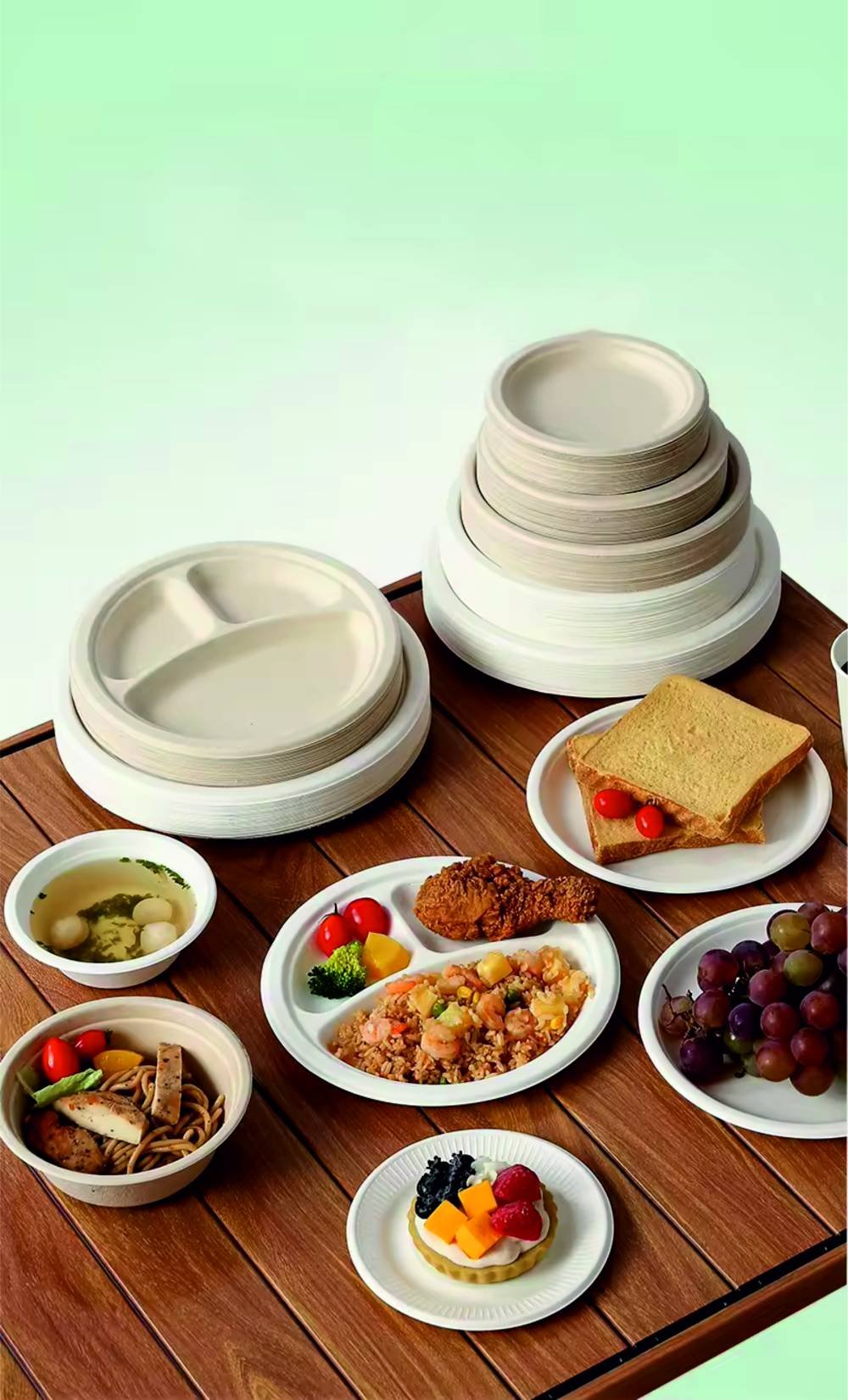 BAGGASSE TABLEWARE